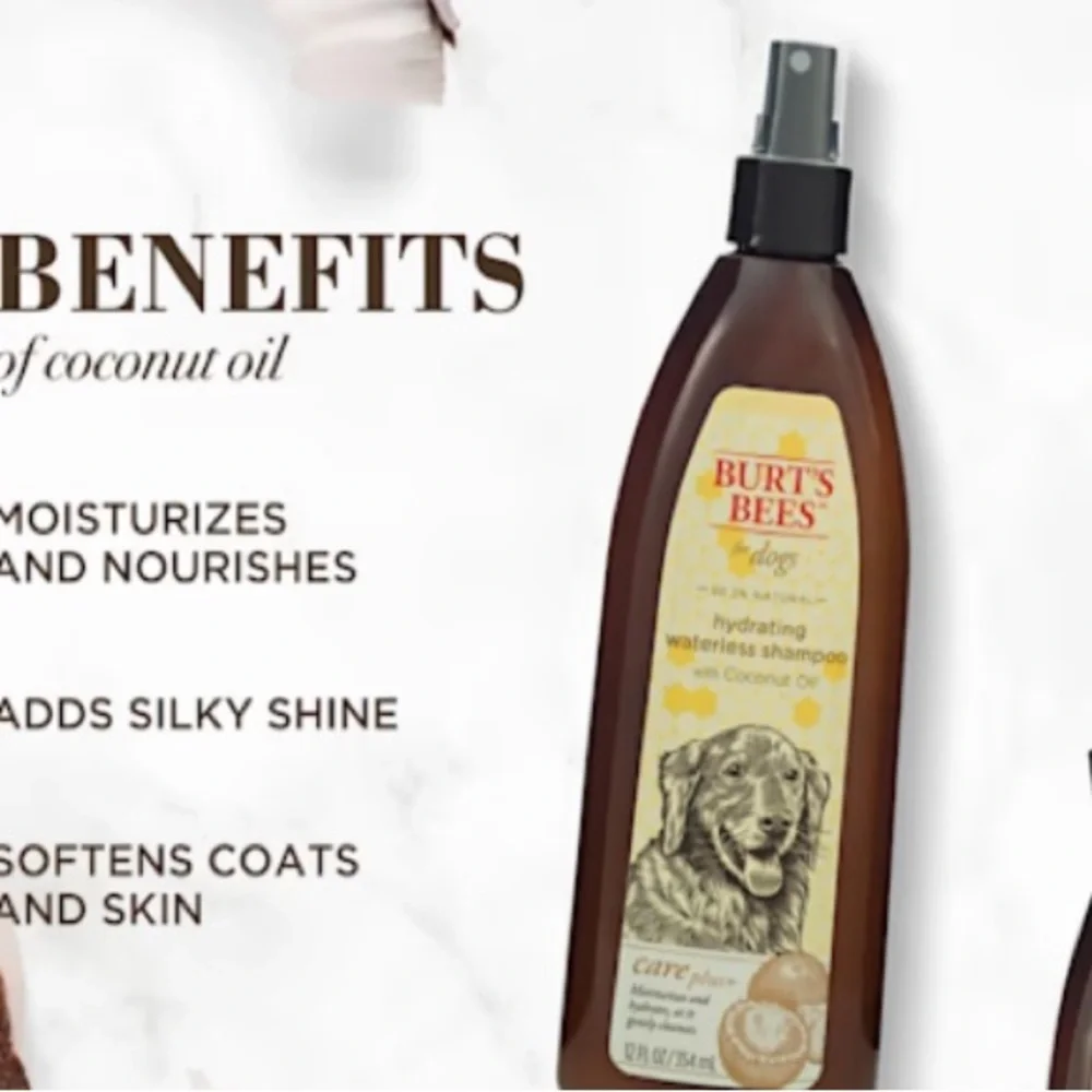 Burt's Bees Natural Hydrating Waterless Shampoo Spray for Dogs with Coconut Oil